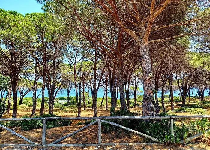 Vista Pineta - 90 Mt Dalla Appartamento *