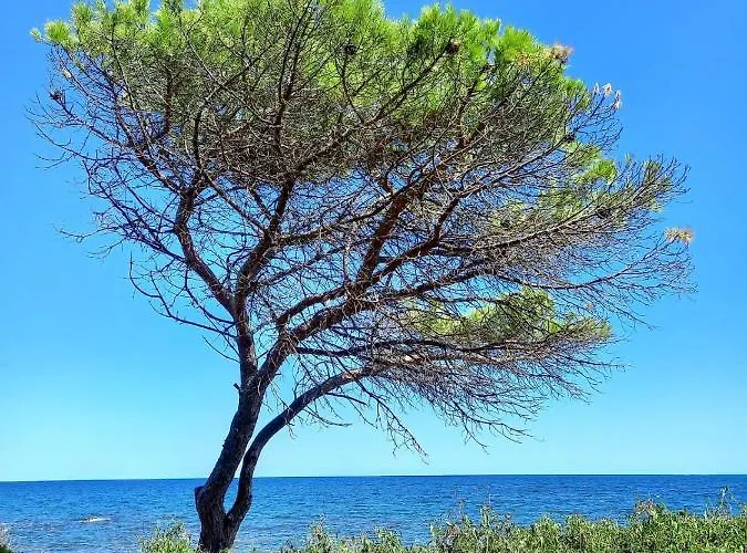 Vista Pineta - 90 Mt Dalla