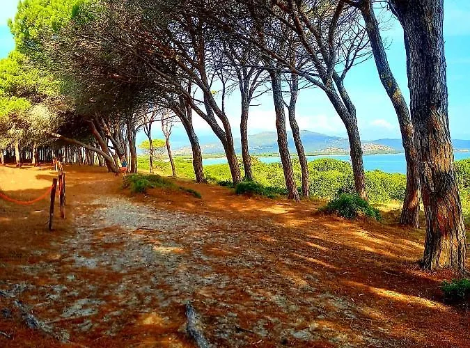 Vista Pineta - 90 Mt Dalla Appartamento Budoni