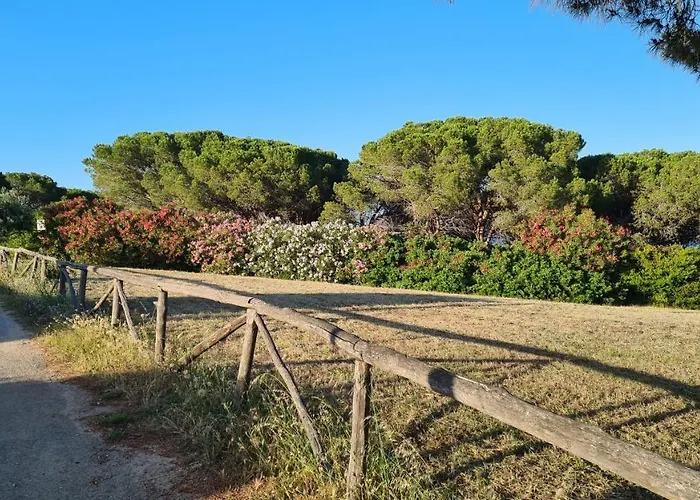 Vista Pineta - 90 Mt Dalla Appartamento Budoni
