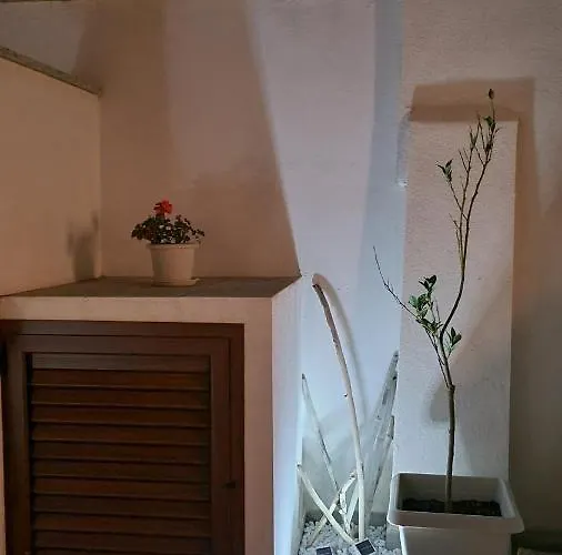 Vista Pineta - 90 Mt Dalla Apartment Budoni