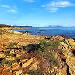 Vista Pineta - 90 Mt Dalla