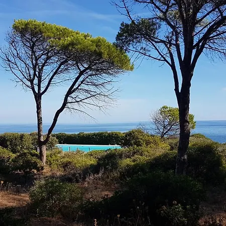 Apartment Vista Pineta - 90 Mt Dalla