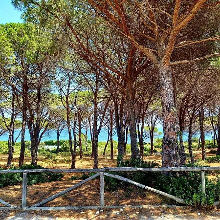 Vista Pineta - 90 Mt Dalla Apartament *