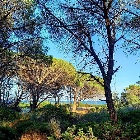 Vista Pineta - 90 Mt Dalla Apartment