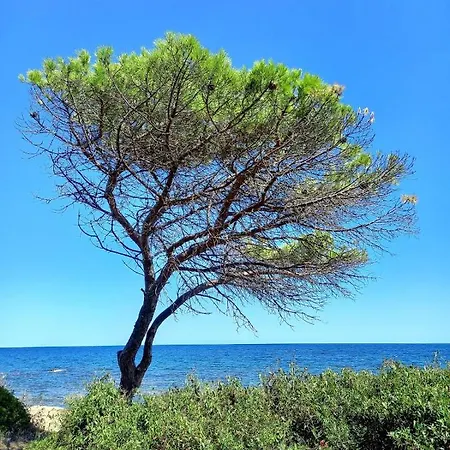 Vista Pineta - 90 Mt Dalla