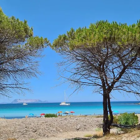 Apartamento Vista Pineta - 90 Mt Dalla *