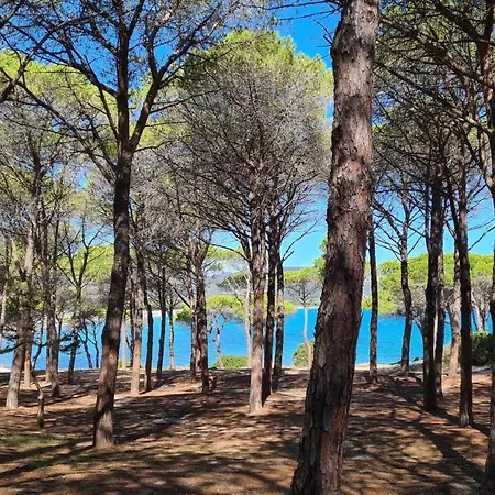 Vista Pineta - 90 Mt Dalla Budoni