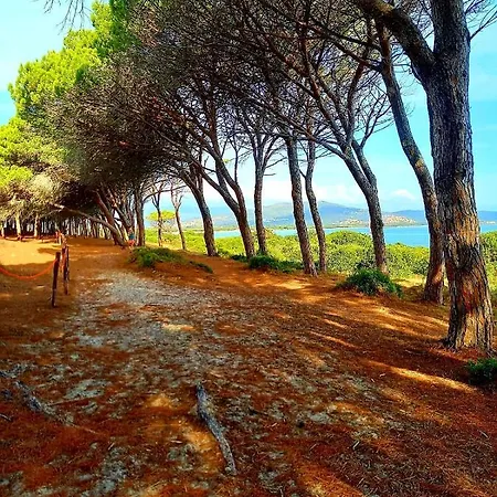 Vista Pineta - 90 Mt Dalla Apartment Budoni