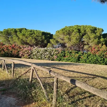 Vista Pineta - 90 Mt Dalla Apartment Budoni
