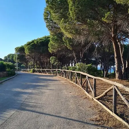 Vista Pineta - 90 Mt Dalla Apartment