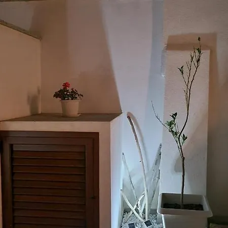 Vista Pineta - 90 Mt Dalla Apartmán Budoni