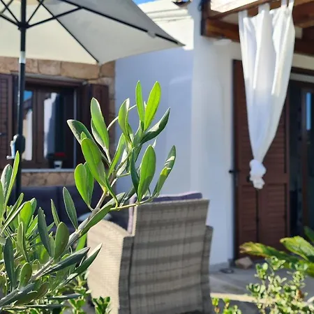 Vista Pineta - 90 Mt Dalla *