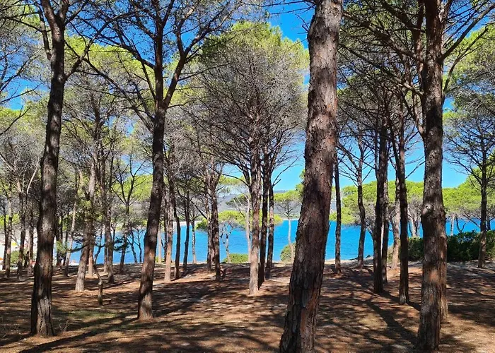 Vista Pineta - 90 Mt Dalla Budoni