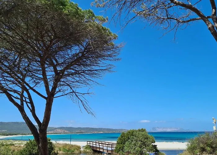 Vista Pineta - 90 Mt Dalla Apartman *